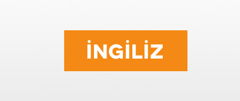 İngiliz Atları