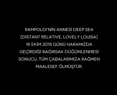 Rampoldi’nin annesi Deep Sea (Distant Relative, Lovely Louisa) Hakkında