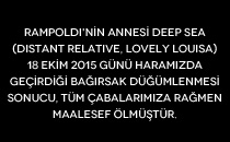 Rampoldi’nin annesi Deep Sea (Distant Relative, Lovely Louisa) Hakkında