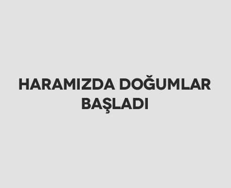 Haramızda Doğumlar Başladı