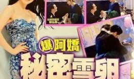 港媒爆料赖弘国视频播放,疑涉不雅内容引发热议