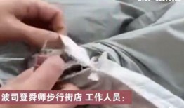 波司登新闻爆料,揭秘品牌发展背后的故事