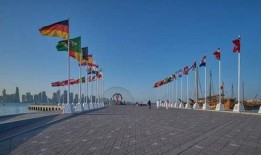 卡塔尔足球最新爆料新闻,神秘事件揭秘，足球盛宴背后的惊人真相