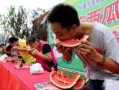 吃瓜大赛免费看全集,揭秘精彩瞬间！