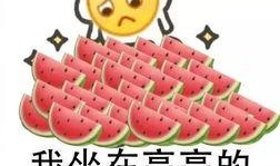 郑州大学生免费吃瓜,学生免费畅享瓜果盛宴