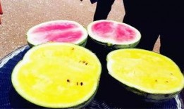 爆料娱乐区的瓜,揭秘明星背后的惊人真相！