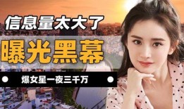 有什么娱乐圈的爆料吗女,揭秘明星背后的故事