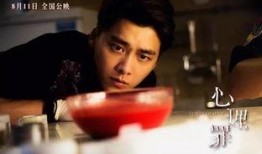 心理罪在线观看免费,揭秘犯罪心理，免费在线观看，探秘罪案背后的心理世界