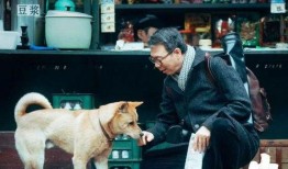 狗子爆料周冬雨视频播放,真相究竟如何？