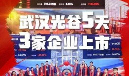 武汉最新爆料照片新闻,街头惊现神秘现象，真相令人震惊！