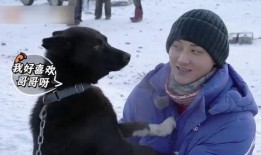 狗子爆料周冬雨视频播放,真相究竟如何？