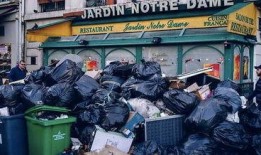 垃圾围城在线观看