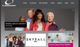 flash point在线观看,在线观看Flash Point精彩瞬间