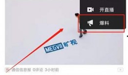 怎样爆料视频呢,轻松掌握曝光真相的方法