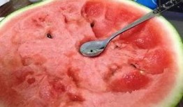 最新51爆料吃瓜,娱乐圈最新猛料，吃瓜群众速来围观！