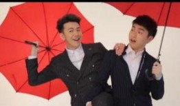 黄礼格的最新爆料,揭秘娱乐圈不为人知的幕后故事