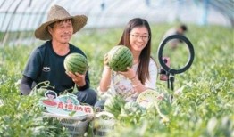 赵一菲吃瓜完整版免费,完整版免费放送，娱乐圈幕后真相曝光