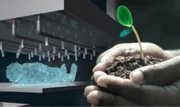 武汉冰葬最新爆料,真相与争议交织