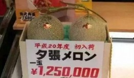 郑州吃瓜娱乐,揭秘城市生活趣味瞬间