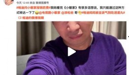爆料吃瓜杨迪视频大全集,揭秘娱乐圈吃瓜达人幕后故事
