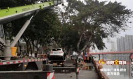 四川女司机爆料视频曝光,揭露行业潜规则与安全隐忧