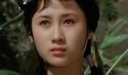 坡豪电影完整版在线观看,在线完整版，揭秘神秘家族的传奇故事