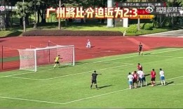 选手爆料假球视频播放,选手爆料假球视频引发热议