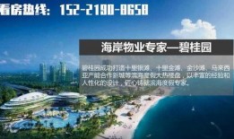 湛江市最新爆料,揭秘城市新动向与热点事件