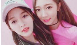 娱乐吃瓜酱双向,双向互动，揭秘娱乐圈幕后故事