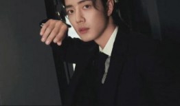 刘大锤爆料王凯视频,揭秘明星幕后生活片段