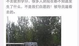 河北美院爆料视频大全最新,揭秘校园风云与艺术魅力