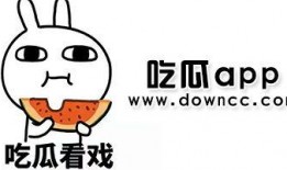 网红黑料吃瓜截图,吃瓜截图背后的真相与争议