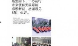 新城最新爆料事件始末,真相与反转的曲折历程