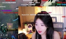 呆妹宾馆爆料视频在线观看,揭秘住宿行业背后的惊人真相