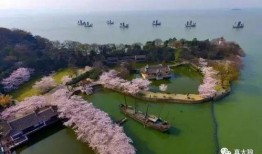 无锡景区爆料事件视频,视频揭露惊人内幕，游客权益引关注