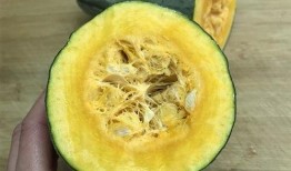 吃瓜各类名字网红,揭秘网红们的花式昵称与人气传奇