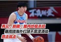 睢冉爆料周琦视频,揭秘篮球天才背后的故事