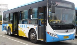 102路公交车爆料视频,乘客爆料视频引网友热议