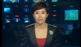 大新闻新闻爆料电话,揭秘幕后爆料者的神秘世界