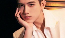 爆料娱乐圈陈飞宇