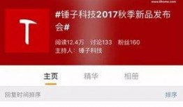 锤子最新爆料,颠覆性新品即将亮相，引领科技潮流新篇章！”