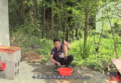 土家小木爆料视频,视频内容深度解析