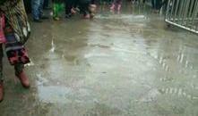 江苏沛县爆料事件最新消息,最新进展揭秘，真相逐步浮出水面