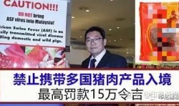 印尼猪瘟最新爆料图片,最新爆料图片揭示严峻形势