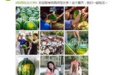 各大高校免费吃瓜链接,各大院校福利链接大汇总