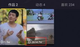 肇庆抖音爆料事件视频最新,真相揭秘，网友热议不断