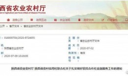 陕西新闻爆料吧,聚焦热点事件，解码社会脉动