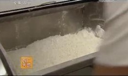 兰州牛肉爆料视频播放,一视频走红，揭秘地道风味背后的制作秘籍