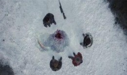 解冻高清在线观看,尽享视觉盛宴——在线观看新体验