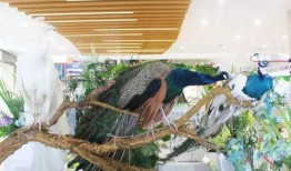 郑州吃瓜娱乐,揭秘城市生活趣味瞬间